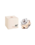 transparent-Photoroom - 2025-12-29T141049.471