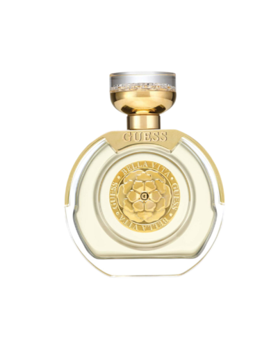 transparent-Photoroom - 2025-12-31T153638.508