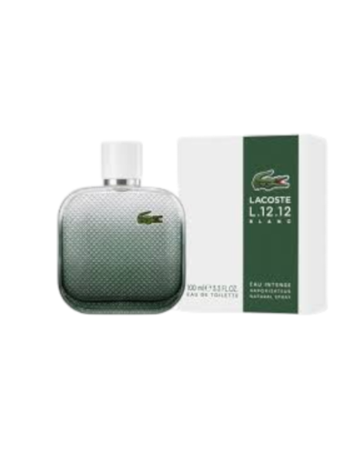 transparent-Photoroom - 2025-12-31T161329.287