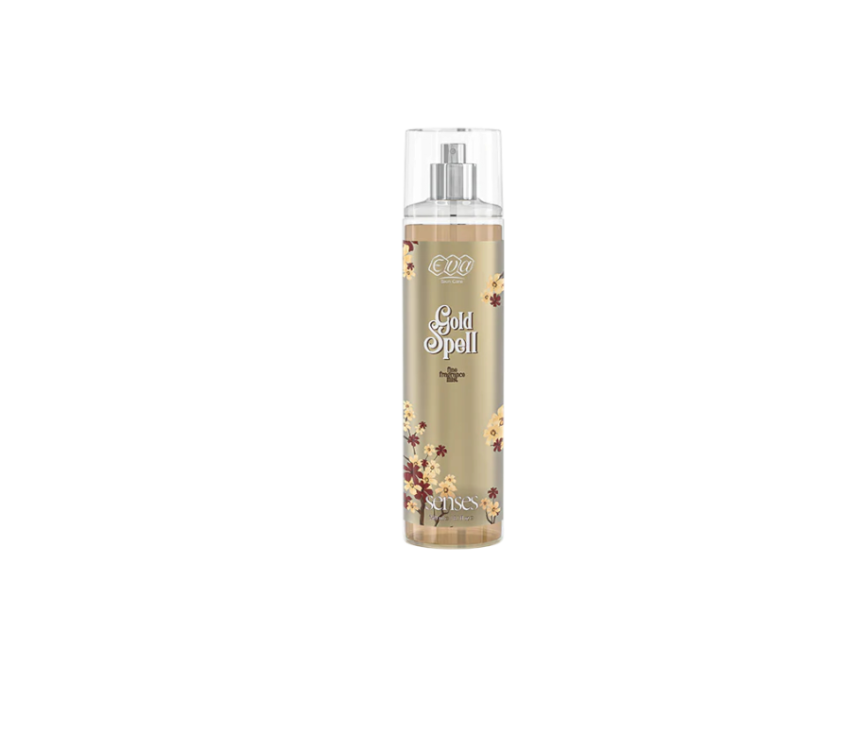 transparent-Photoroom - 2026-01-03T130138.212