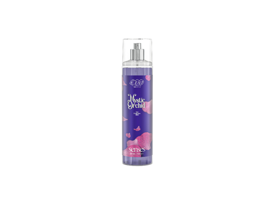 transparent-Photoroom - 2026-01-03T130356.937