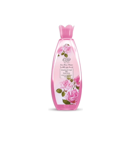 transparent-Photoroom - 2026-01-03T161442.239