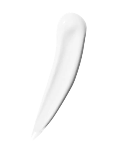 transparent-Photoroom - 2026-01-14T162602.310