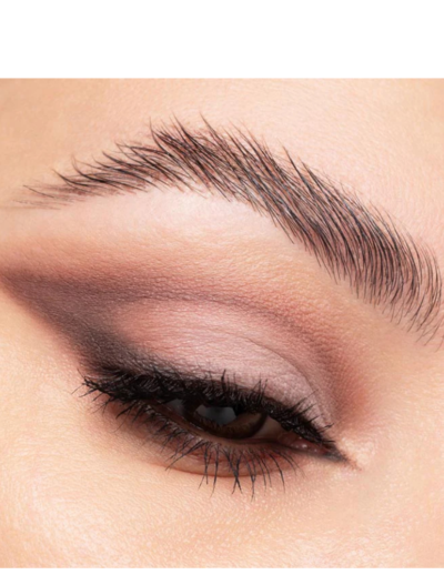 transparent-Photoroom - 2026-02-02T103659.773