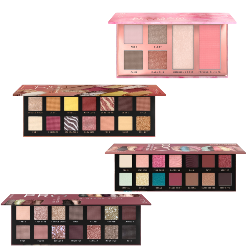 transparent-Photoroom - 2026-02-02T111333.681