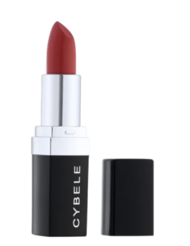 transparent-Photoroom - 2026-02-07T140228.938