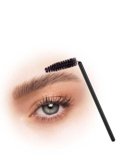 transparent-Photoroom - 2026-02-08T160511.896