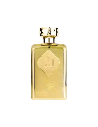 transparent-Photoroom (69)