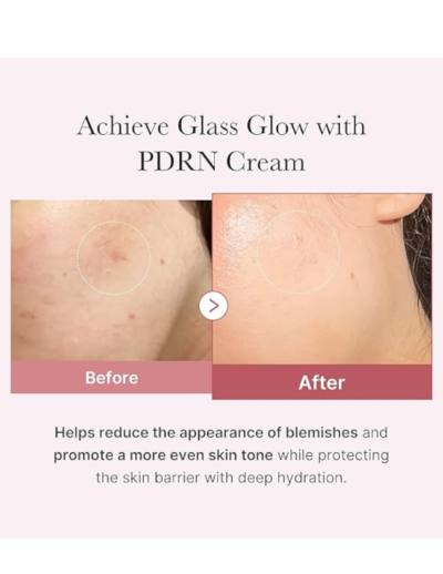 transparent-Photoroom - 2026-03-11T125837.118