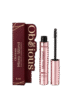 transparent-Photoroom - 2026-09-27T110057.142